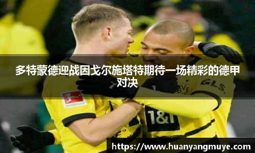 zoty中欧官方网站