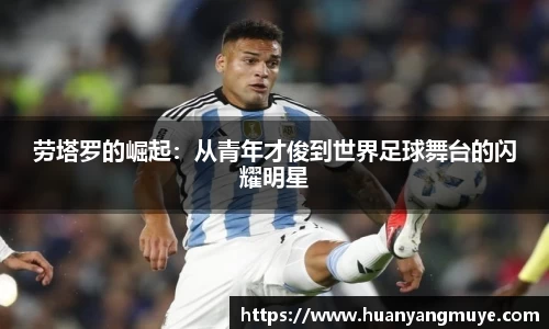 zoty中欧官方网站