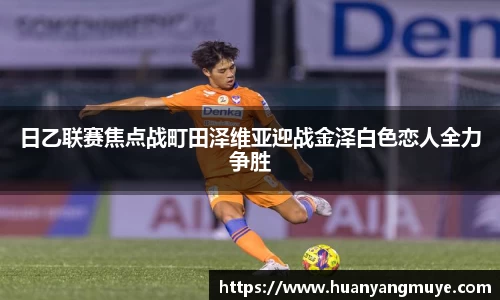 zoty中欧官方网站