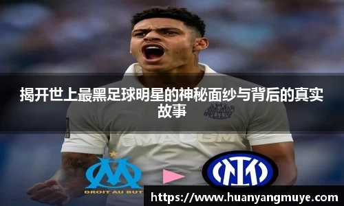 zoty中欧官方网站