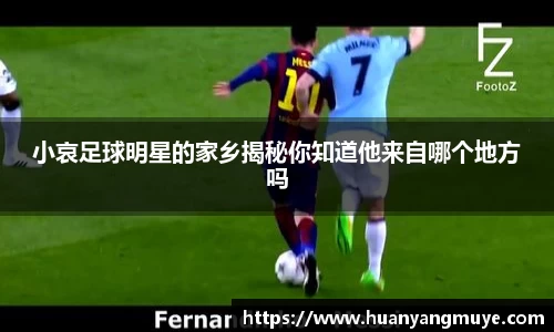 小哀足球明星的家乡揭秘你知道他来自哪个地方吗